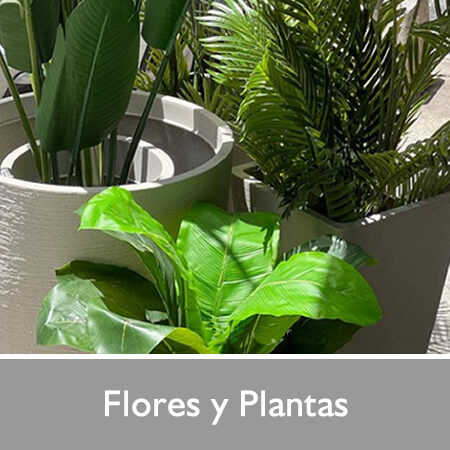 Flores y Plantas